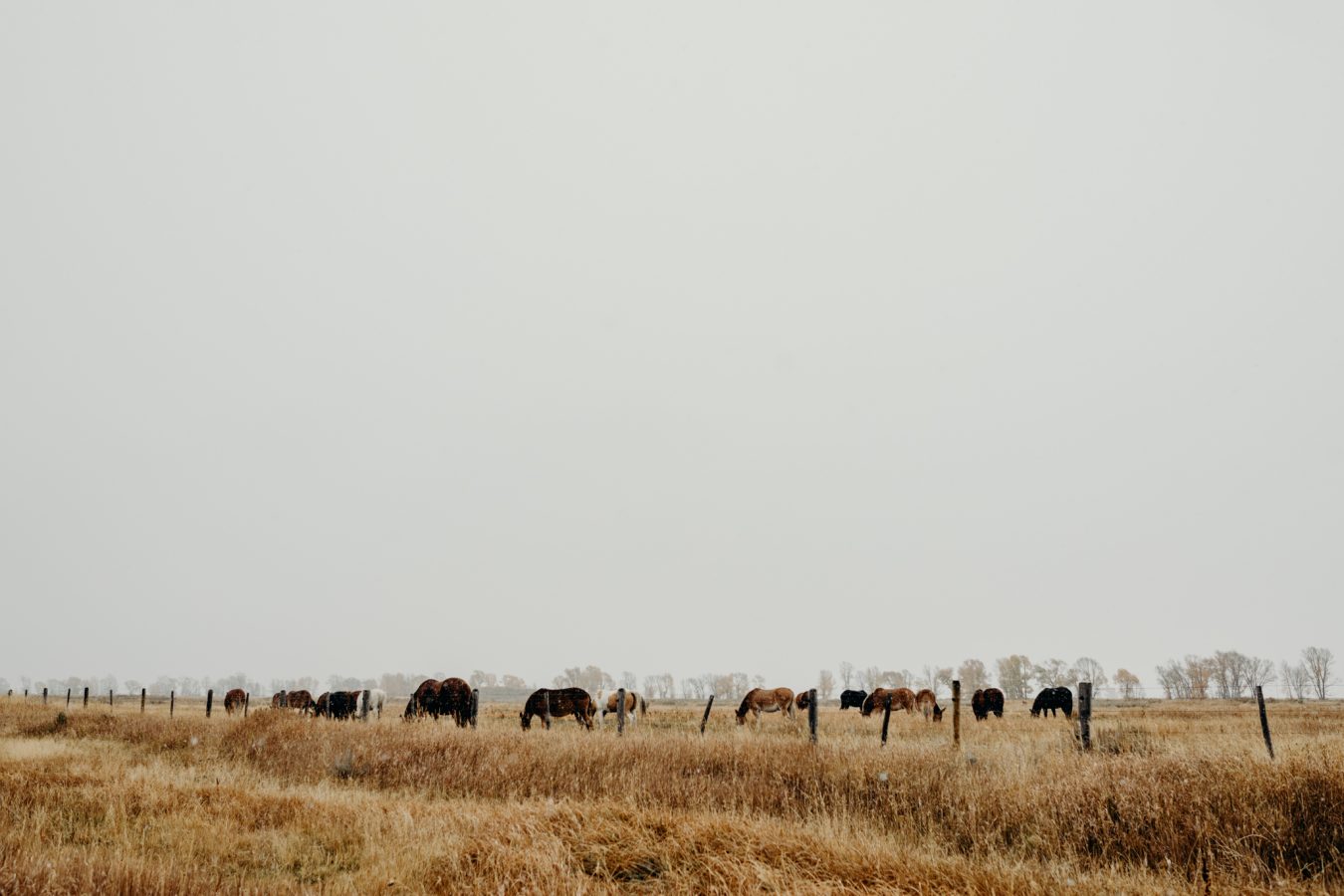 erin-wheat-co-alyssanickharmon-1576