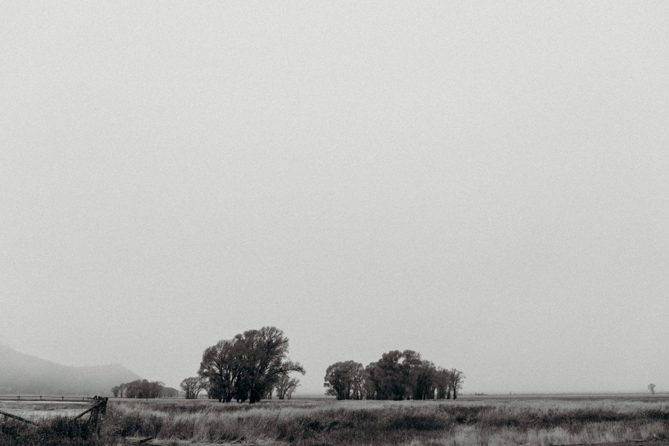 erin-wheat-co-alyssanickharmon-9088