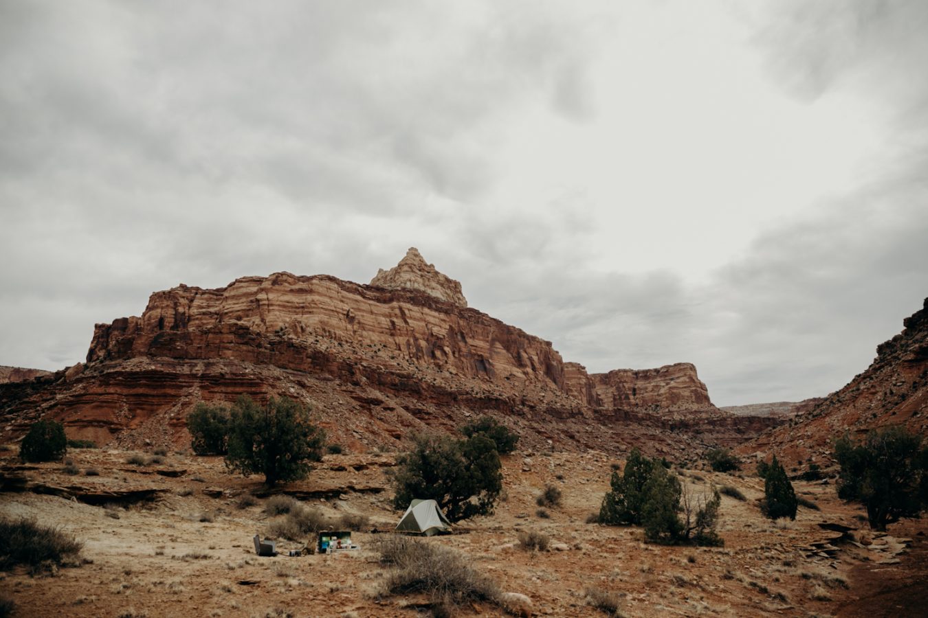 erin-wheat-co-ryan-dawn-desert-wedding-7186