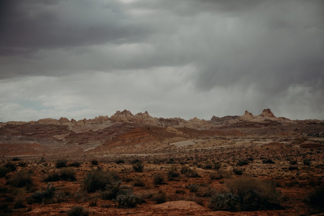 erin-wheat-co-ryan-dawn-desert-wedding-7530