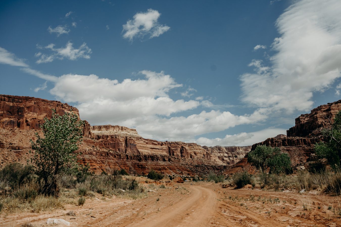 erin-wheat-co-ryan-dawn-desert-wedding-7582