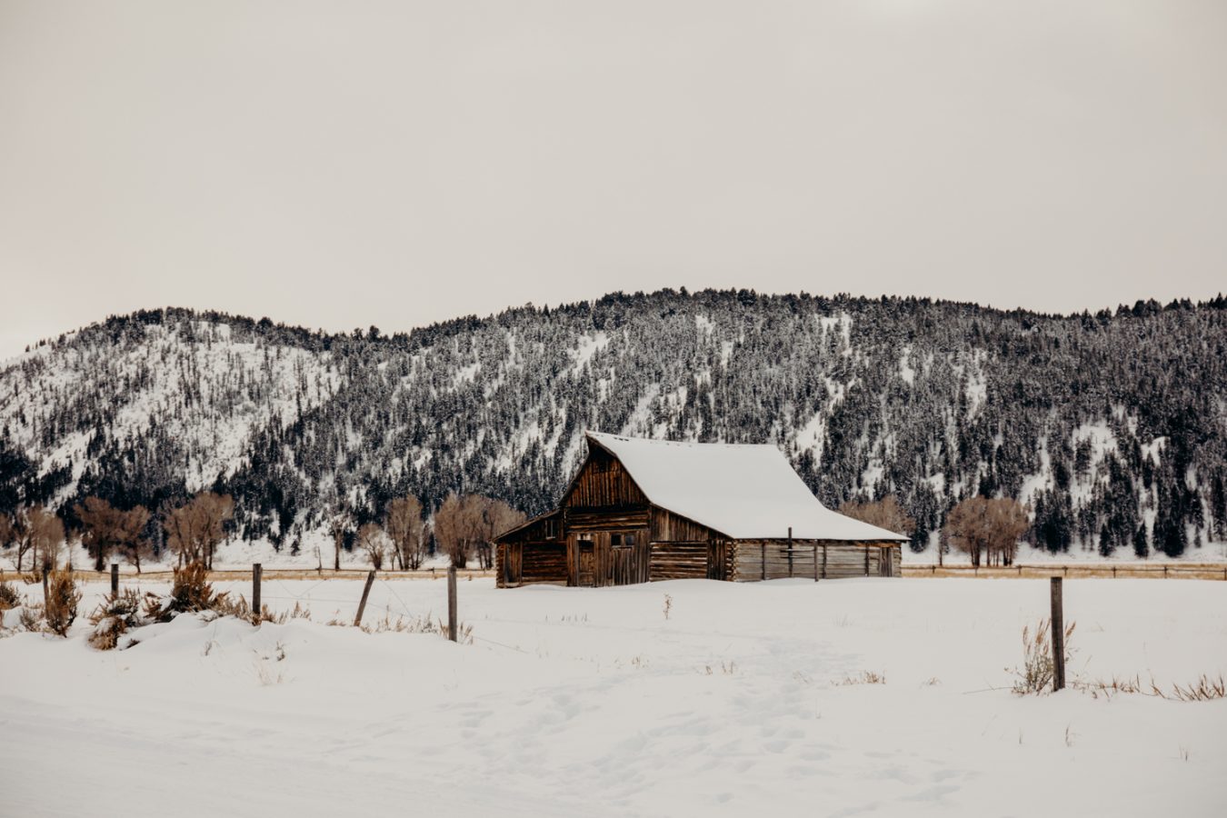 erin-wheat-co-brandontracy-0888