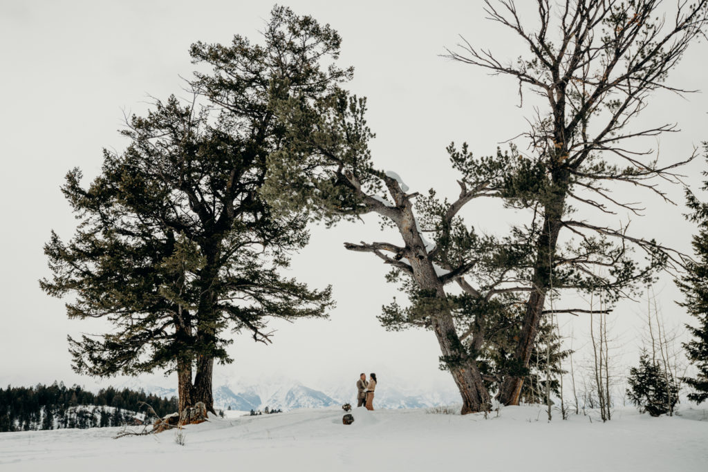 Couple in wedding attire embrace under the wedding tree outside of Jackson hole with a view of Grand Teton National Park