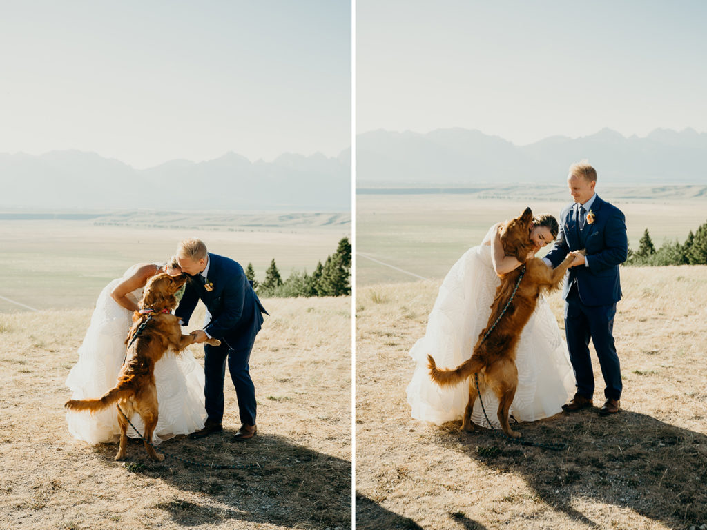 Jackson Hole Wedding with Dog