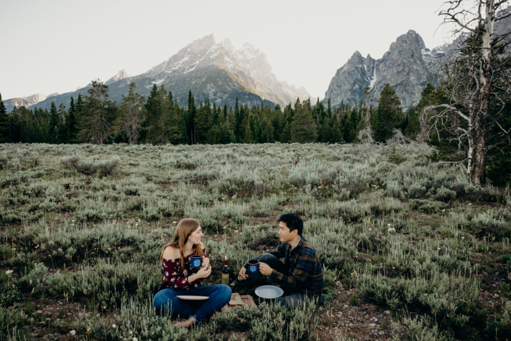 engagement in the tetons