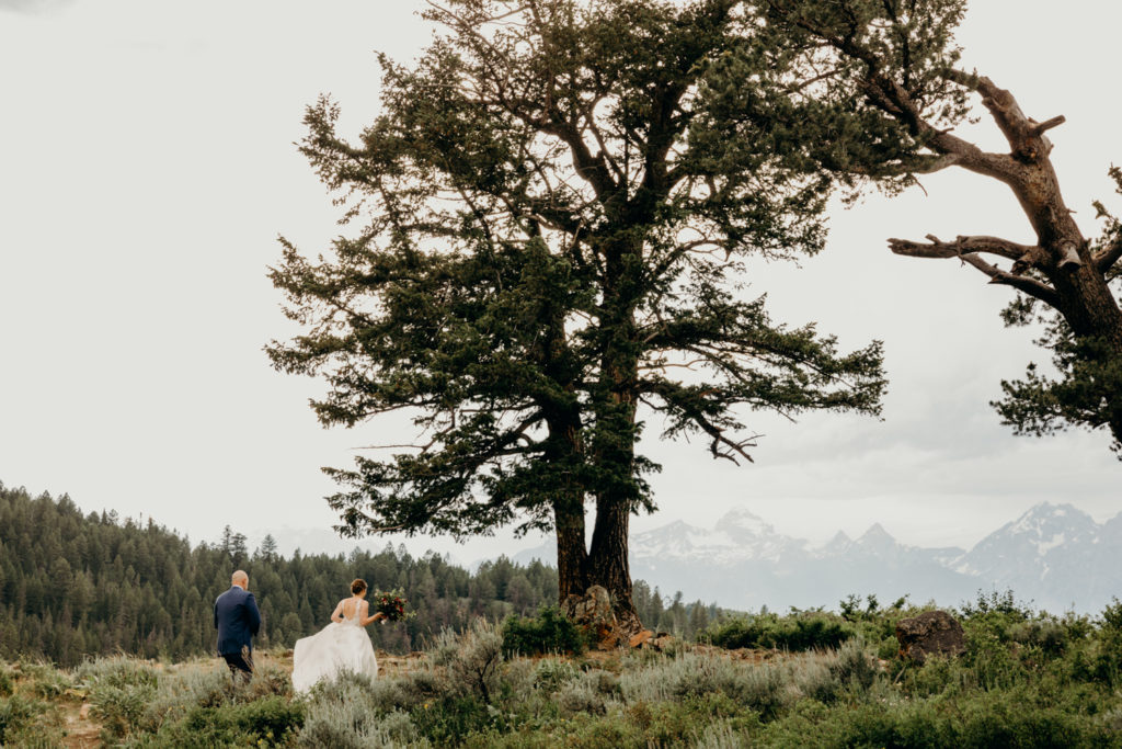 Wedding At The Wedding Tree in Jackson Hole