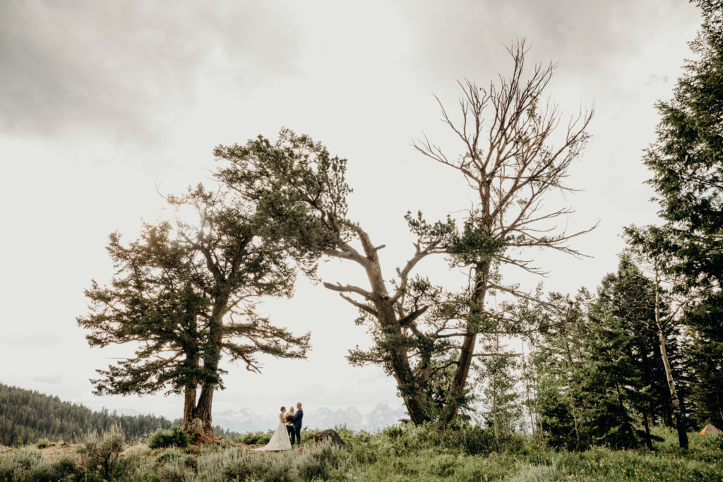 Elopement at The Wedding Tree 