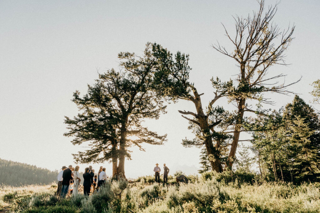 intimate ceremony at the wedding tree