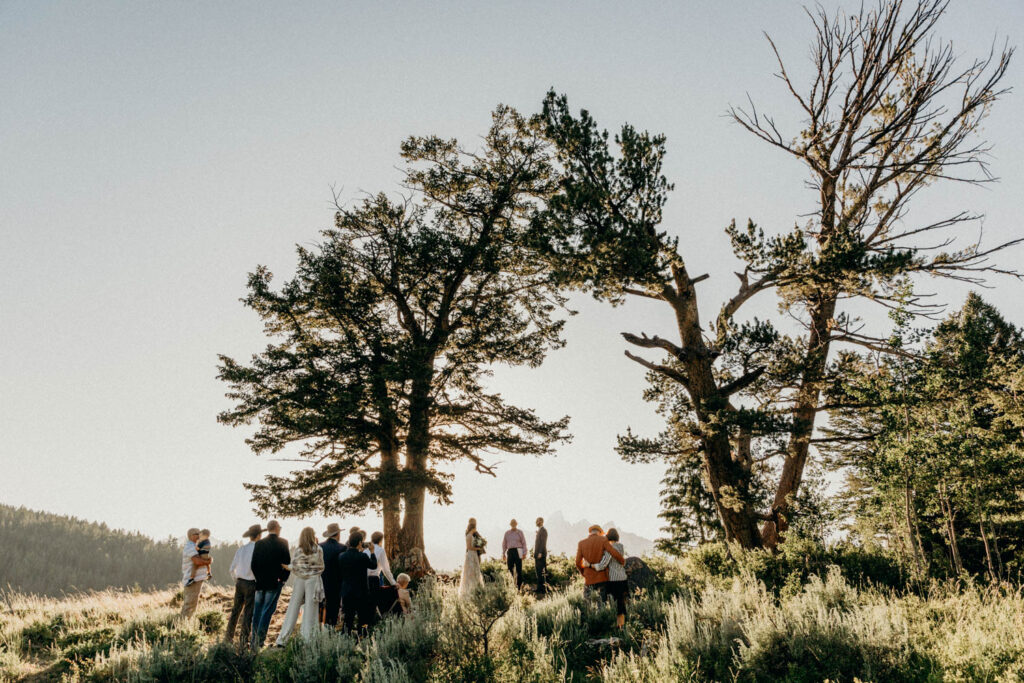 intimate ceremony at the wedding tree