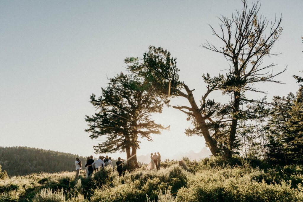 intimate ceremony at the wedding tree