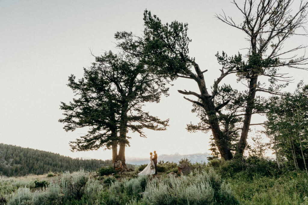 intimate ceremony at the wedding tree