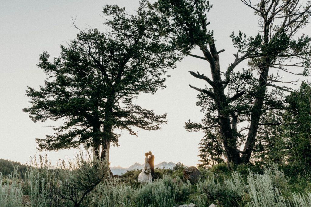 intimate ceremony at the wedding tree