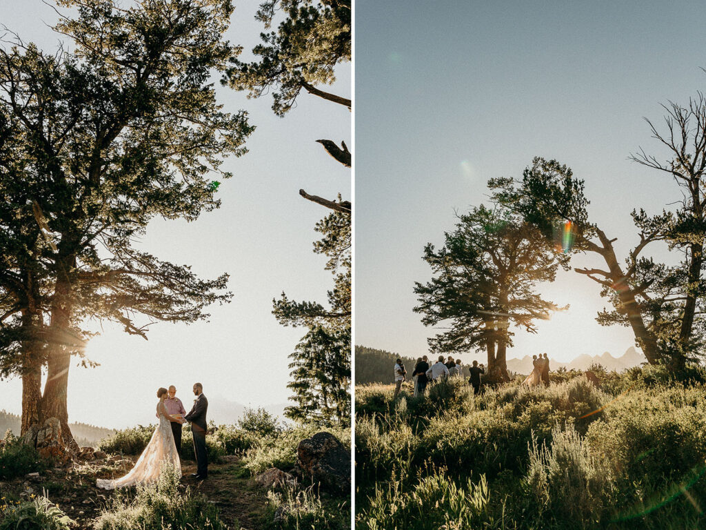 intimate ceremony at the wedding tree