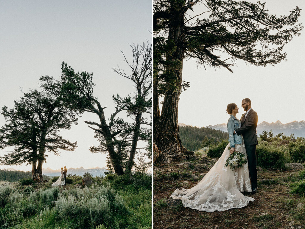 intimate ceremony at the wedding tree