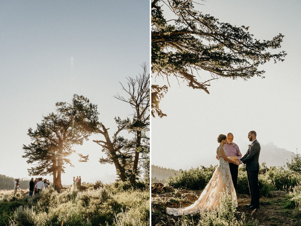 intimate ceremony at the wedding tree