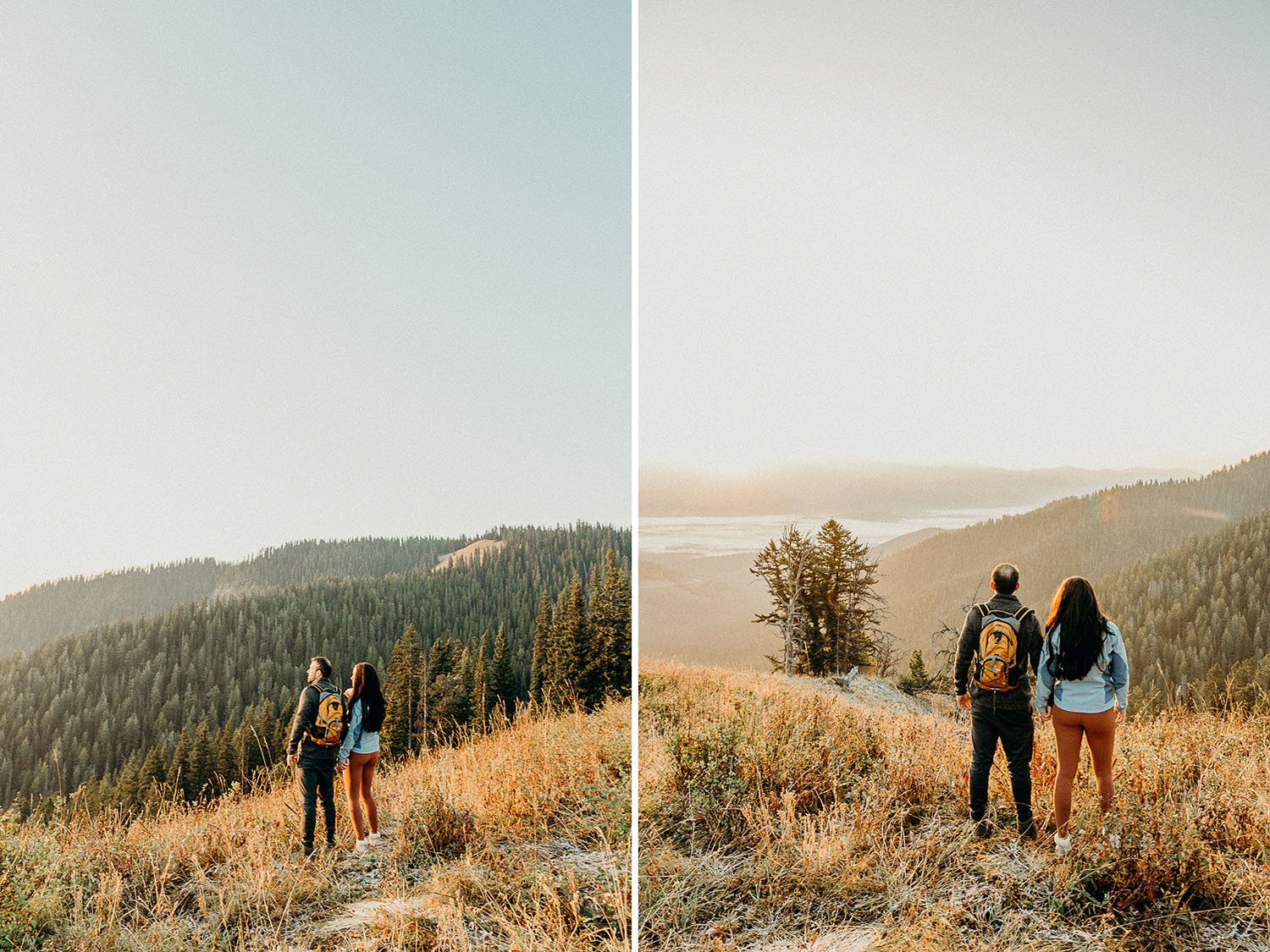 Teton Pass Wedding