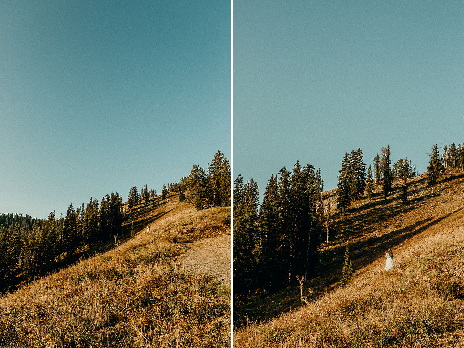 Teton Pass Wedding