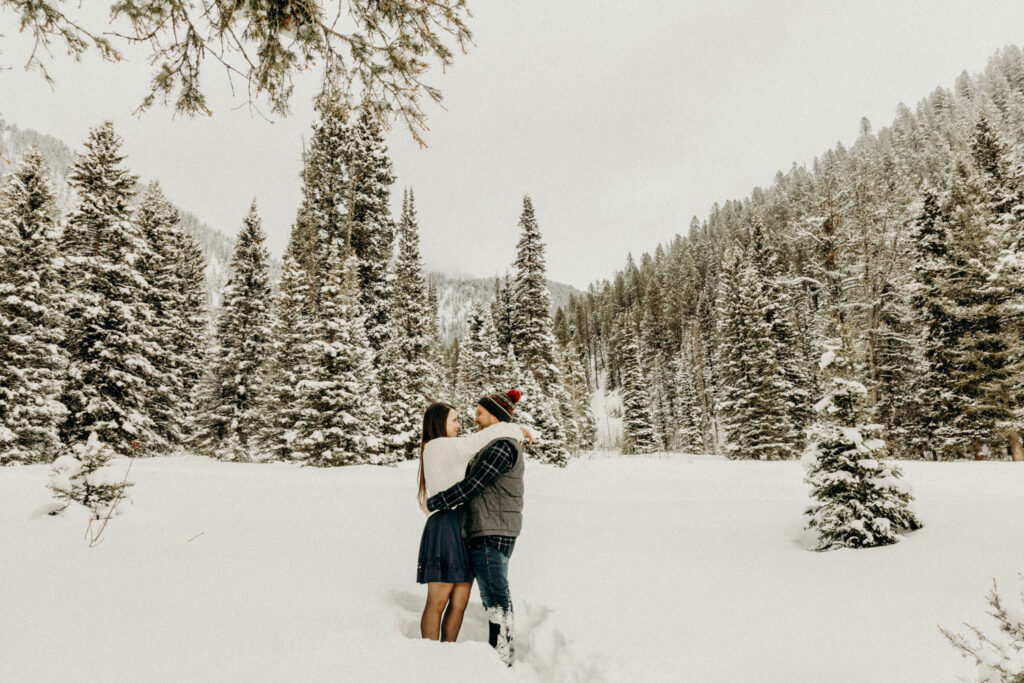 Jackson Hole Engagement