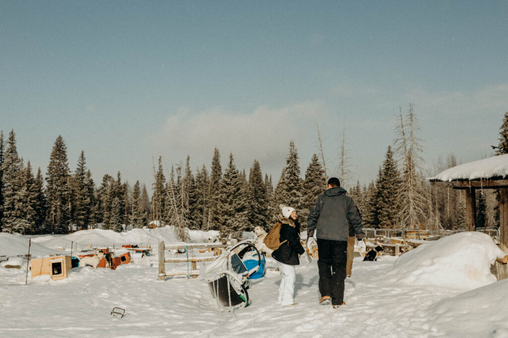 Dog Sledding Proposal