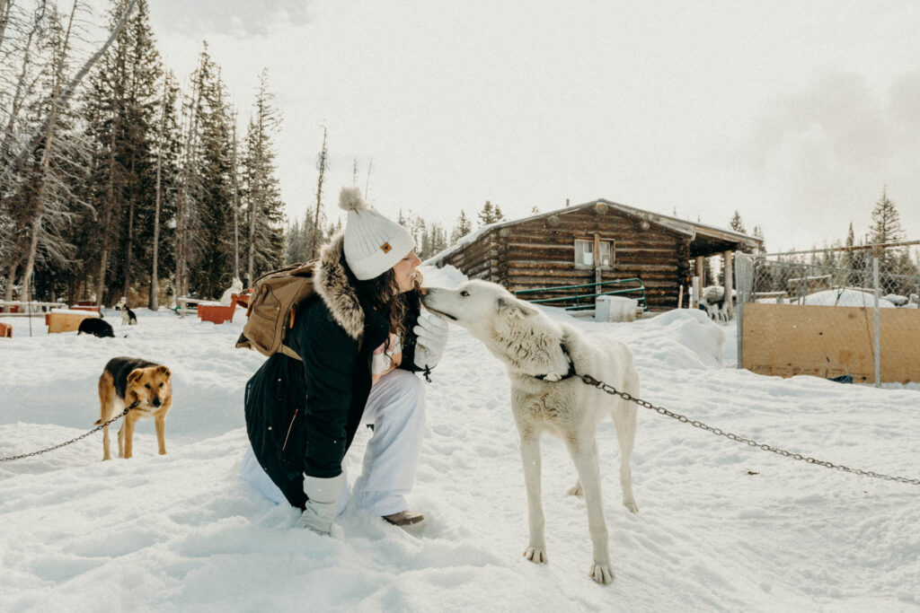 Dog Sledding Proposal