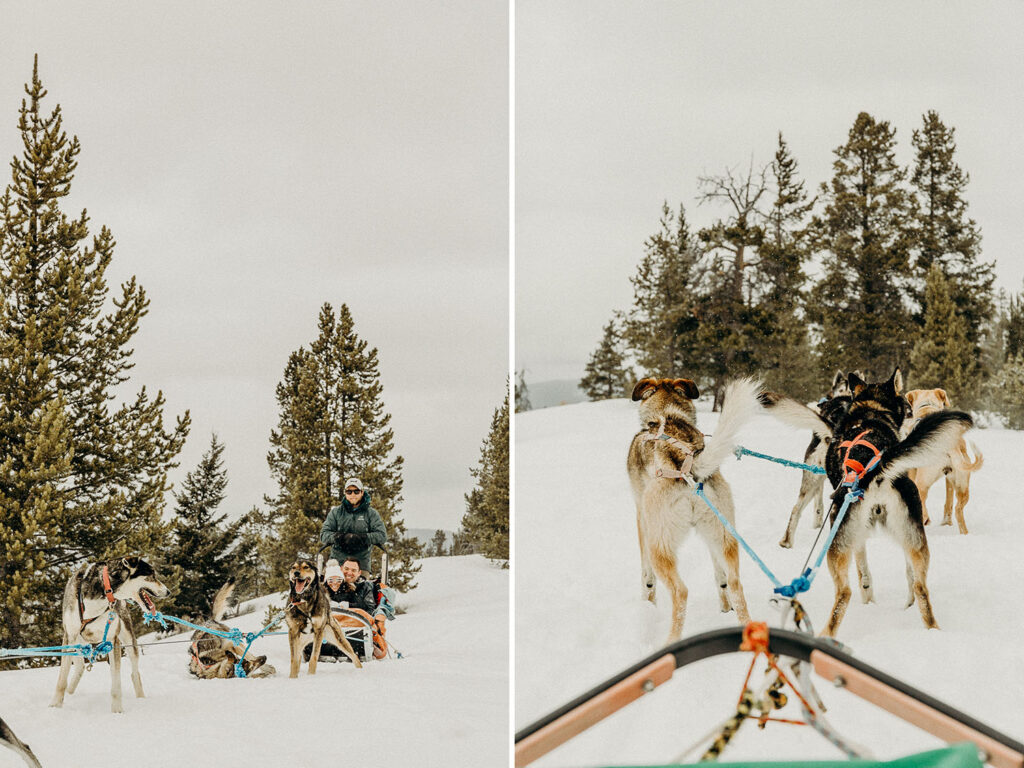 Dog Sledding Proposal