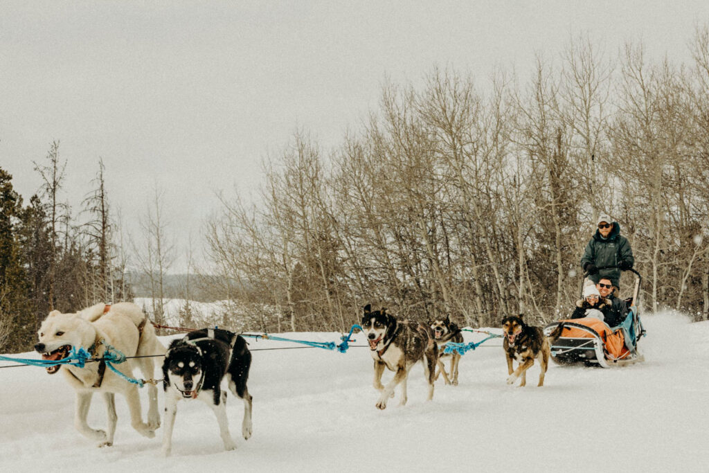 Dog Sledding Proposal