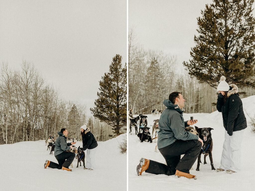 Dog Sledding Proposal