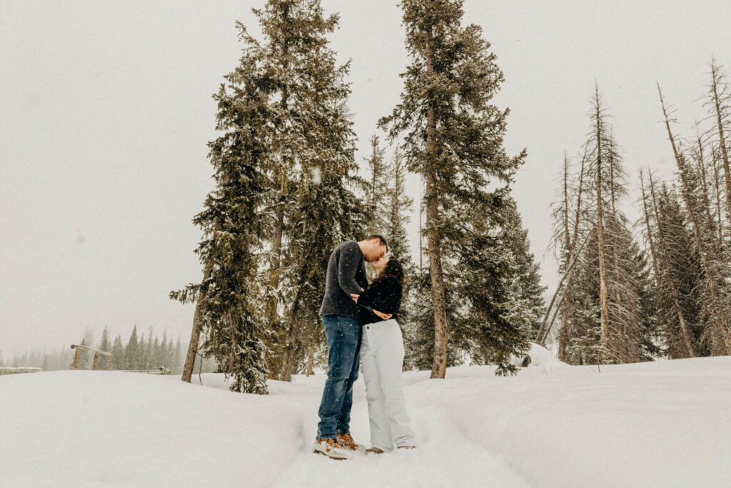 Dog Sledding Proposal