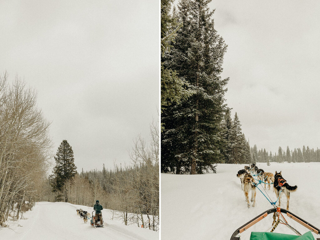 Dog Sledding Proposal