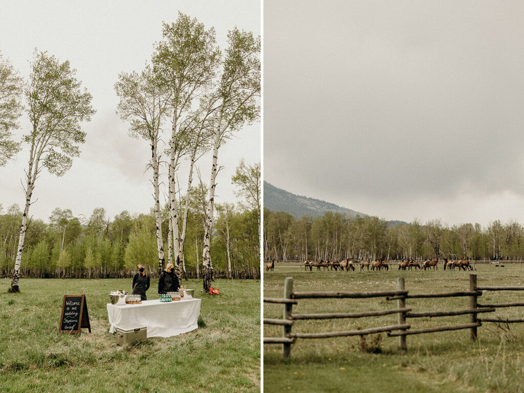 Snake River Ranch Wedding