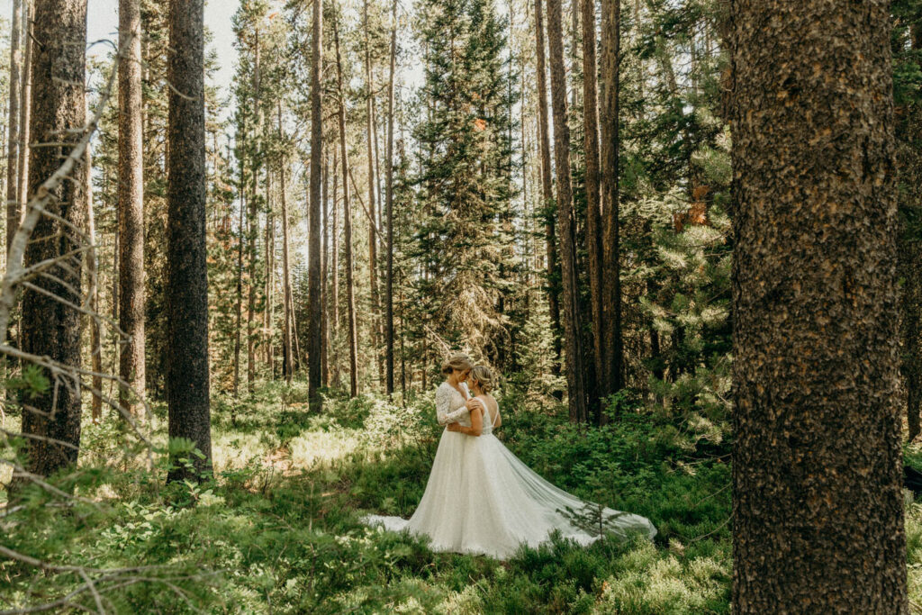 LGBTQ National Park Elopement